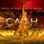 Cover Cash