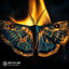 Cover Moth To A Flame