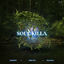 Cover Soul Killa