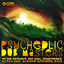 Cover Psychedelic Dub Masters (40 Top Psybient, Psy Chill, Downtempo, Glitch Hop, Groove Anthems 2013)