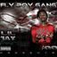 Cover Fly Boy Gang