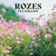Cover I'll Follow