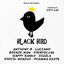 Cover Black Bird Riddim by City Kay