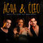 Cover Água e Óleo
