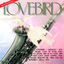 Cover Lovebird