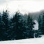 Cover En attendant l'hiver