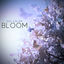 Cover Bloom