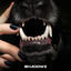 Cover Shadowz