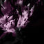 Cover There Goes My Heart (Sonnee Remix)