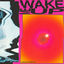 Cover Wake Me Up