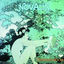 Cover Sommerabend