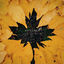 Cover Autumn Days