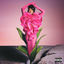 Cover Where The Flowers Don't Die