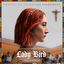 Cover Lady Bird (Original Motion Picture Soundtrack)