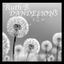 Cover Dandelions (slowed + reverb)