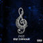 Cover 1ère Symphonie (Hushpuppi)