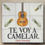Cover Te Voy a Camelar