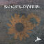 Cover Sunflower