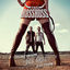 Cover Dos Bros (Platinum Edition)