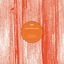 Cover Philipp Dolphia