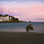 Cover T'estiu