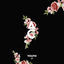 Cover Youth