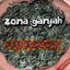Cover Sanazion