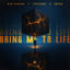 Cover Bring Me to Life