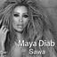 Cover Sawa (feat. Ramy Ayach)
