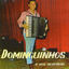 Cover Dominguinhos e Seu Acordeon