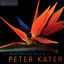 Cover The Meditation Music of Peter Kater: Evocative, expressive instrumental music for meditation