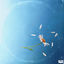 Cover I Might