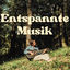 Cover Entspannte Musik