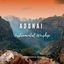 Cover Adonai Instrumental Worship