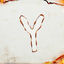 Cover Y