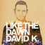 Cover Like the Dawn (David K. Radio Mix)
