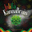 Cover Kannabrain