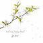 Cover Feels Like Falling Petals