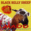 Cover Black Belly Sheep