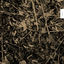 Cover ://About Blank 007