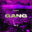 Cover Gang