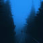 Cover roads were filled with silence