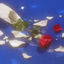 Cover Bisous