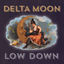 Cover Low Down