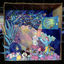 Cover Christmas Island