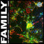 Cover Family