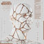 Cover Photosynthetic