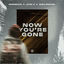 Cover Now You're Gone