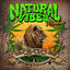 Cover Natural Vibes Riddim