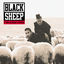 Cover A Wolf In Sheep's Clothing